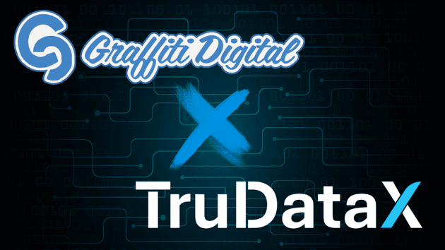 Image of our business consultancy collaborating with TruDataX